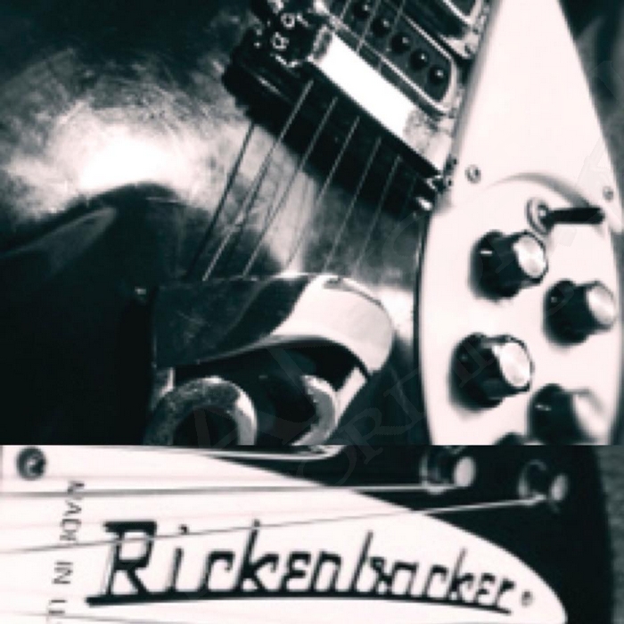 Rickenbacker 325 JL